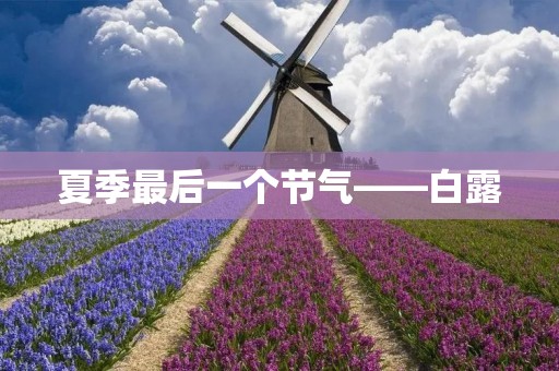夏季最后一个节气——白露