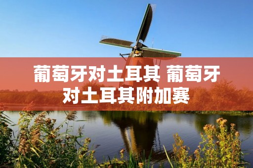 葡萄牙对土耳其 葡萄牙对土耳其附加赛