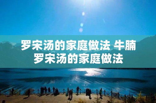 罗宋汤的家庭做法 牛腩罗宋汤的家庭做法 罗宋汤的家庭做法 牛腩罗宋汤的家庭做法
