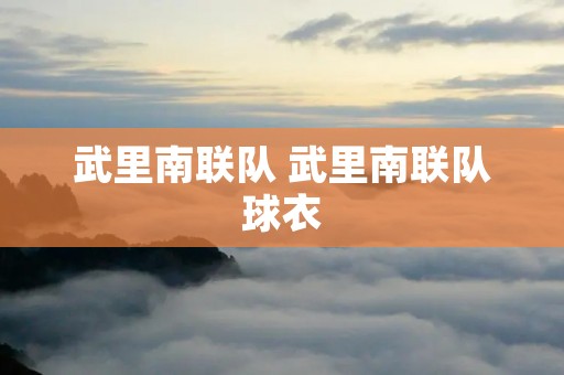 武里南联队 武里南联队球衣