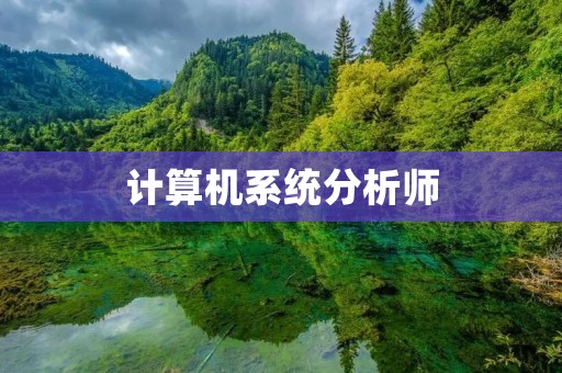 计算机系统分析师:职责、技能和前景展望 计算机系统分析师:职责、技能和前景展望