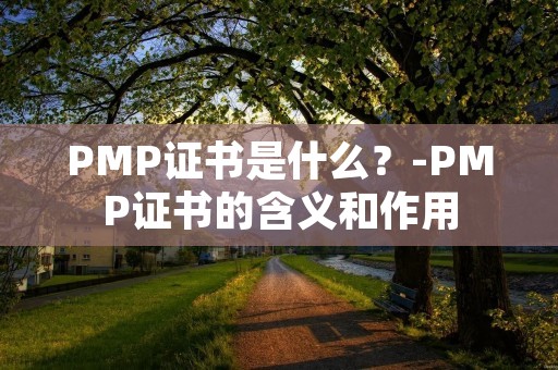 PMP证书是什么？-PMP证书的含义和作用