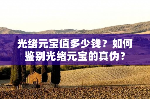 光绪元宝值多少钱？如何鉴别光绪元宝的真伪？