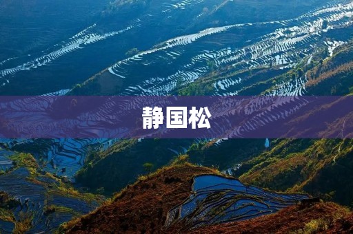 静国松:一位杰出的中国画家 静国松:一位杰出的中国画家