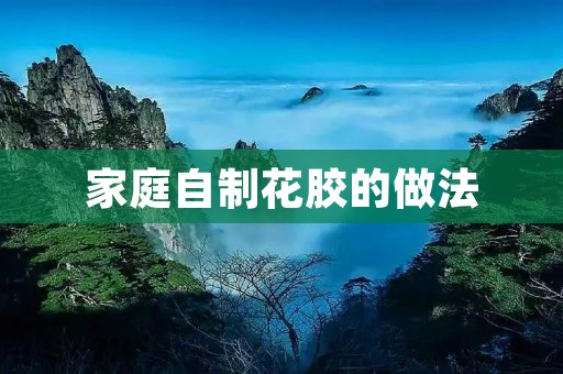 家庭自制花胶的做法