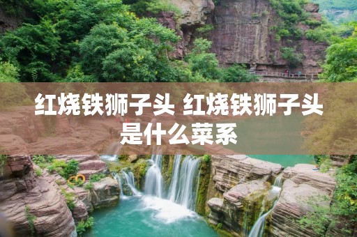 红烧铁狮子头 红烧铁狮子头是什么菜系