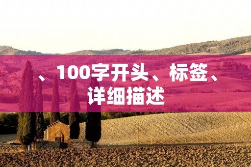 、100字开头、标签、详细描述