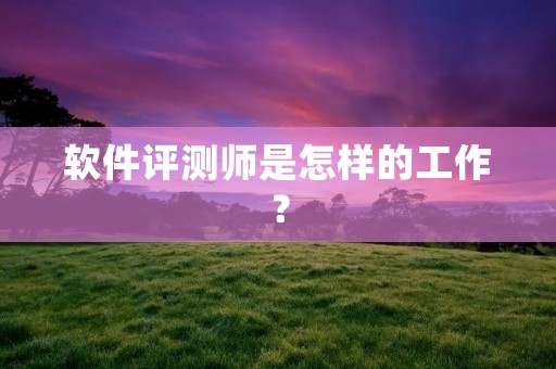 软件评测师是怎样的工作? 软件评测师是怎样的工作?