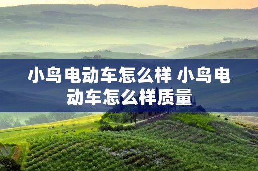 小鸟电动车怎么样 小鸟电动车怎么样质量 小鸟电动车怎么样 小鸟电动车怎么样质量