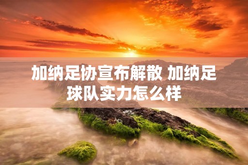 加纳足协宣布解散 加纳足球队实力怎么样