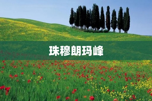 珠穆朗玛峰:世界最高的山峰