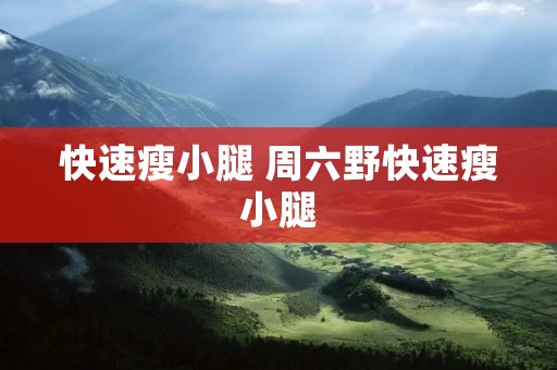 快速瘦小腿 周六野快速瘦小腿