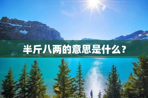 半斤八两的意思是什么? 半斤八两的意思是什么?
