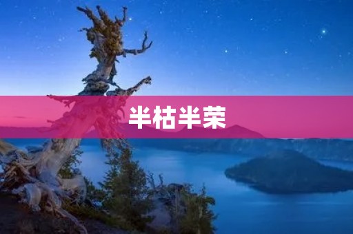 半枯半荣:生命中的起起落落 半枯半荣:生命中的起起落落