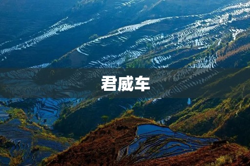 君威车:豪华品质的代表 君威车:豪华品质的代表