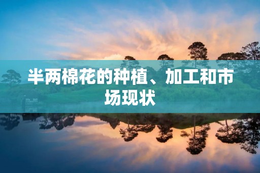 半两棉花的种植、加工和市场现状