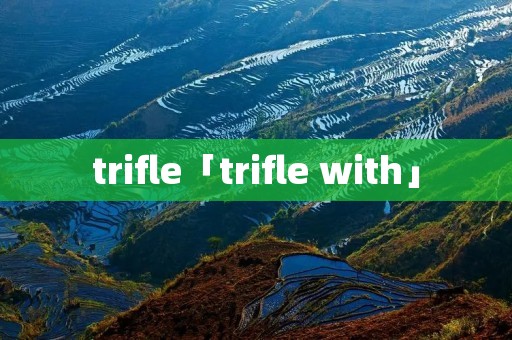 trifle「trifle with」 trifle「trifle with」