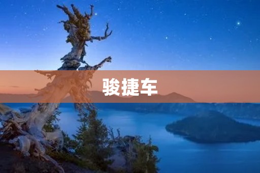 骏捷车：新时代的出行利器