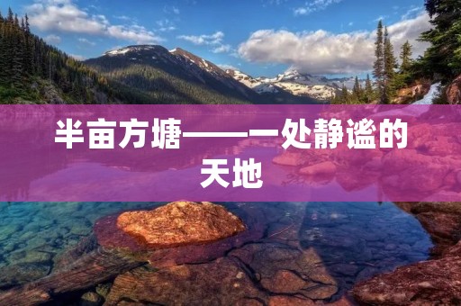 半亩方塘——一处静谧的天地