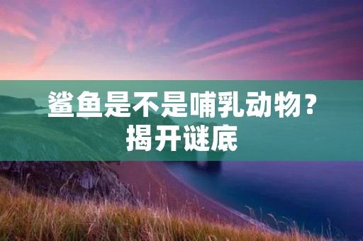 鲨鱼是不是哺乳动物?揭开谜底