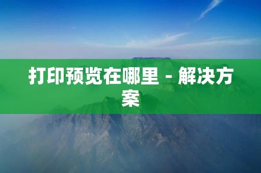 打印预览在哪里 - 解决方案