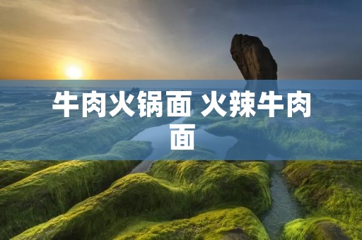 牛肉火锅面 火辣牛肉面