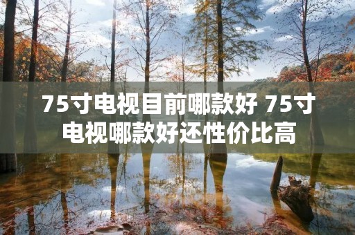75寸电视目前哪款好 75寸电视哪款好还性价比高
