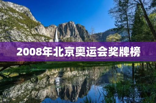 2008年北京奥运会奖牌榜