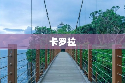卡罗拉：日本汽车品牌的代表作