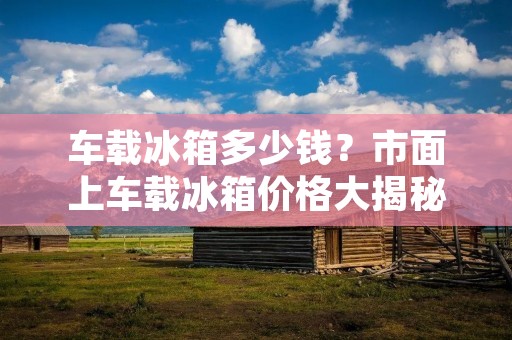 车载冰箱多少钱？市面上车载冰箱价格大揭秘！