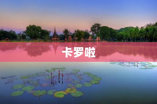 卡罗啦:一款迷人的数字游戏 卡罗啦:一款迷人的数字游戏