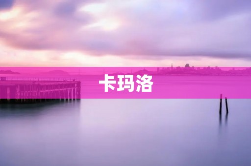 卡玛洛:非洲最大的跨国公司 卡玛洛:非洲最大的跨国公司