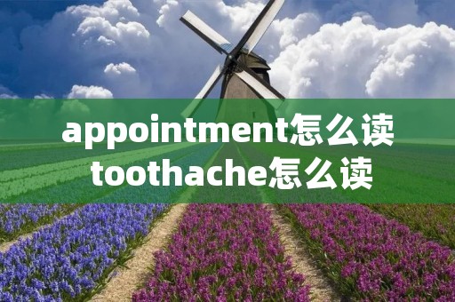 appointment怎么读 toothache怎么读 appointment怎么读 toothache怎么读