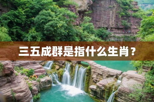 三五成群是指什么生肖？