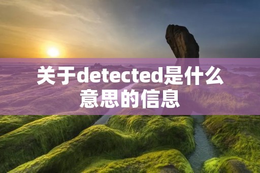 关于detected是什么意思的信息