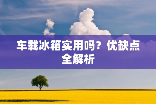 车载冰箱实用吗？优缺点全解析