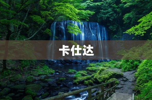 卡仕达:汽车电子领域的领军企业 卡仕达:汽车电子领域的领军企业