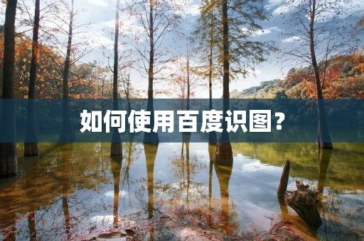如何使用百度识图？