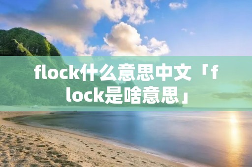 flock什么意思中文「flock是啥意思」 flock什么意思中文「flock是啥意思」