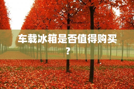 车载冰箱是否值得购买？