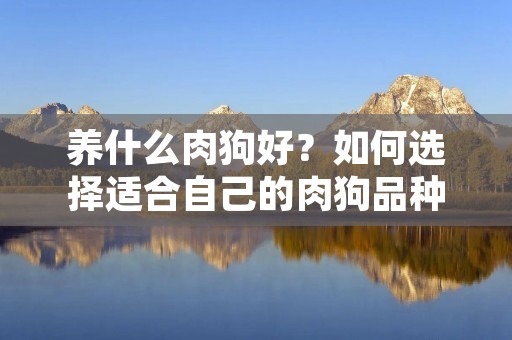 养什么肉狗好？如何选择适合自己的肉狗品种？