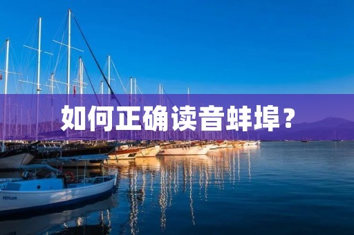 如何正确读音蚌埠？