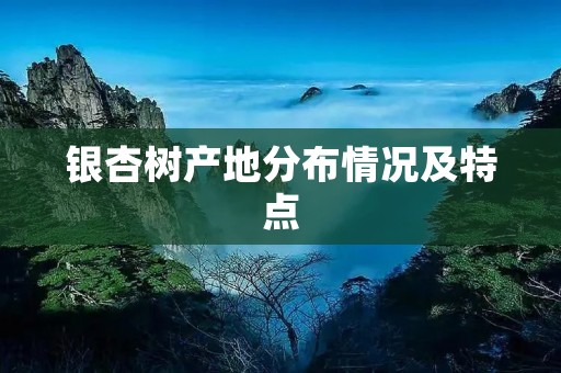 银杏树产地分布情况及特点