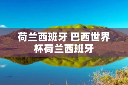 荷兰西班牙 巴西世界杯荷兰西班牙