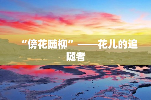 “傍花随柳”——花儿的追随者 “傍花随柳”——花儿的追随者