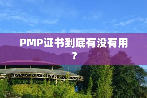 PMP证书到底有没有用?