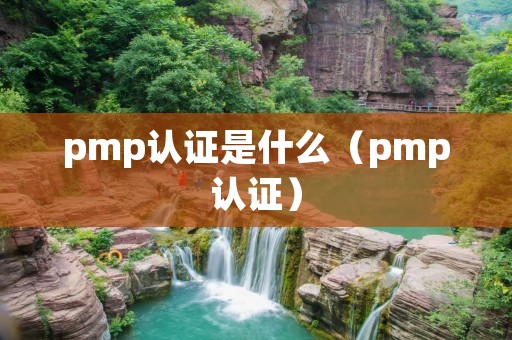 pmp认证是什么(pmp认证)