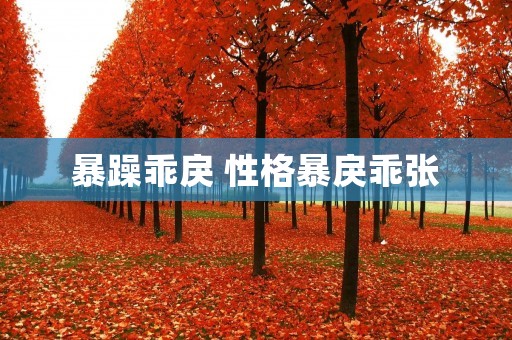 暴躁乖戾 性格暴戾乖张