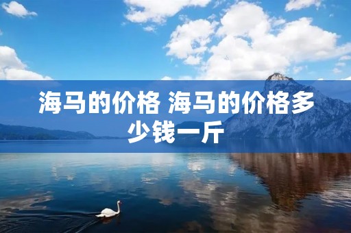 海马的价格 海马的价格多少钱一斤 海马的价格 海马的价格多少钱一斤