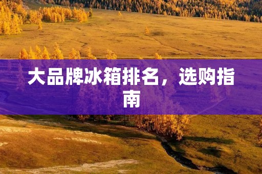 大品牌冰箱排名，选购指南